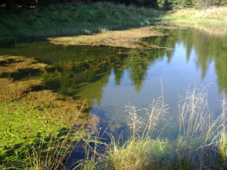 Monča Štréblová - Na Moldavě